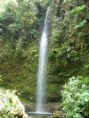 /album/fotogaleria-bosque-humedo-/a553685146-b464dbb5db-jpg/